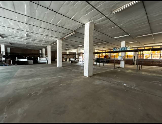 1,000M² WAREHOUSE TO LET IN WYNBERG